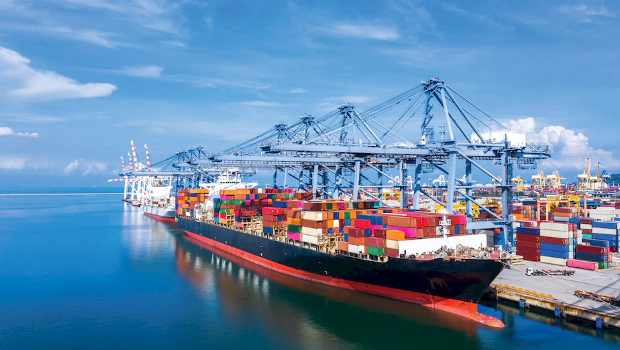 Export & Global Logistics